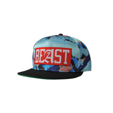 Customized Flat Bill Sports Snapback Baseball Caps (F0043)